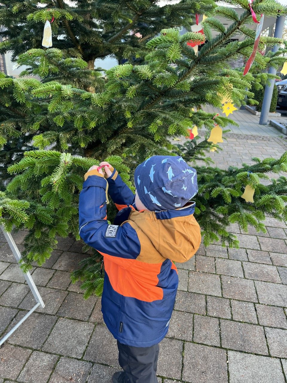 O Tannenbaum De 2025 Cloe Penelope